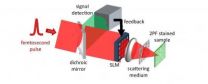 Perfect focus through thick layers may bring better vision to medicine 2