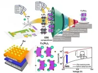 Perovskite memory devices with ultra-fast switching speed