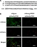 Peroxisomal protein boosts plant immunity to thrive under environmental stress