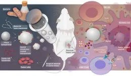 Personalized tumor vaccines may solve tumor recurrence and metastasis challenges