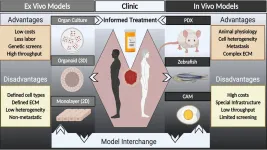 Personalizing cancer care with improved tumor models