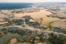 Peru’s Operation Mercury stopped most illegal gold mining in one biodiversity hotspot in the Amazon. Then the COVID-19 pandemic hit.