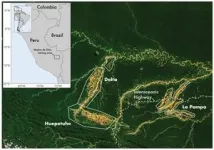 Peru’s Operation Mercury stopped most illegal gold mining in one biodiversity hotspot in the Amazon. Then the COVID-19 pandemic hit. 2