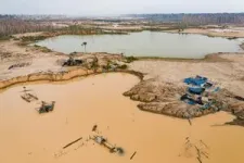 Peru’s Operation Mercury stopped most illegal gold mining in one biodiversity hotspot in the Amazon. Then the COVID-19 pandemic hit. 3