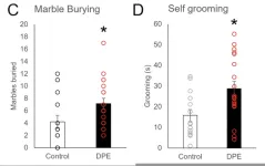 Pesticides and neurodevelopment disorders