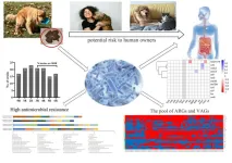 Pet dogs with diarrhea may be shedding multi-drug resistant E.coli in 5 in 10 cases, with potential risks to their human owners