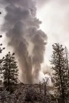 Petrified trees reveal Yellowstone geyser’s ongoing battle with drought