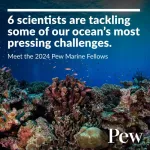 Pew names scientists from 6 countries as 2024 fellows in marine conservation