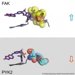 Pharmaceutical research: when active substance and target protein embrace each other