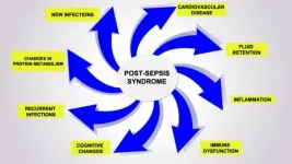 Phenomenon explains why patients who survive sepsis die sooner after hospital discharge