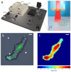 Phonon imaging in 3D with a fiber probe