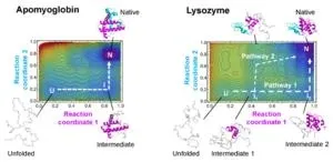 Physical theory improves protein folding prediction 2