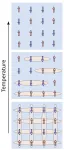 Physicists discover ‘stacked pancakes of liquid magnetism’