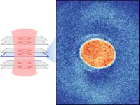 Physicists observe competition between magnetic orders