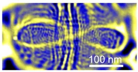 Physics experiment proves patterns in chaos in peculiar quantum realm