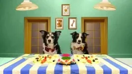 Pickier dogs have pickier brains 2