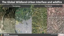 Picturing where wildlands and people meet at a global scale 2