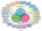 Piezotronics and piezo-phototronics leading to unprecedented active electronics and optoelectronics