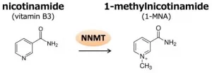 Pillar-like molecules as biosensors for metabolites