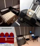 Pingpong balls score big as sound absorbers