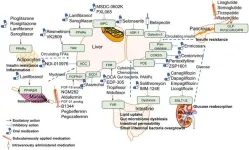 Pipeline of new drug treatment for non-alcoholic fatty liver disease/metabolic dysfunction-associated steatotic liver disease