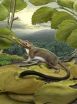 Placental mammal diversity exploded after age of dinosaurs