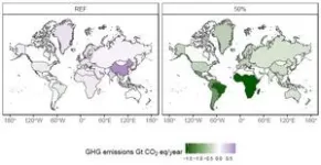 Plant-based food alternatives could support a shift to global sustainability 2