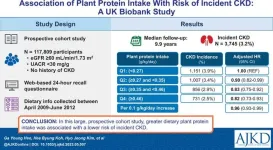 Plant-based protein intake may reduce kidney disease risk