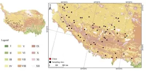 Plant DNA metabarcoding unlocks vegetation secrets of the Tibetan plateau