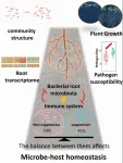 Plant-microbe homeostasis: A delicate balancing act