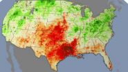 Plant stress paints early picture of drought