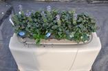 Plantable containers show promise for use in groundcover production, landscaping