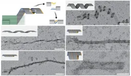 Planting the seed for DNA nanoconstructs that grow to the micron scale