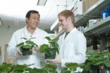 Plants provide accurate low-cost alternative for diagnosis of West Nile Virus