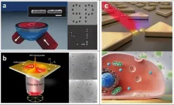 Plasmonic tweezers: For nanoscale optical trapping and beyond