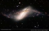 Poetry in motion: Gemini Observatory releases image of rare polar ring galaxy