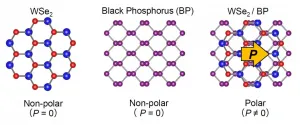 Polarized photovoltaic properties emerge