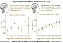 Political ideology is associated with differences in brain structure, but less than previously thought