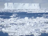 Political shadows cast by the Antarctic curtain