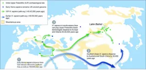 Pollen analysis suggests peopling of Siberia and Europe by modern humans occurred during a major Pleistocene warming spell