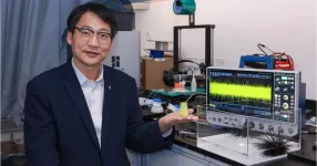 PolyU research unveils mechanoelectrical perception in sea urchin spines, empowering next-generation biomimetic sensors