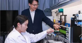 PolyU research unveils mechanoelectrical perception in sea urchin spines, empowering next-generation biomimetic sensors 2