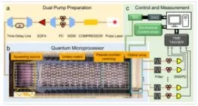 PolyU scientists harness quantum microprocessor chips for revolutionary molecular spectroscopy simulation 3