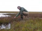 Ponds are disappearing in the Arctic 2