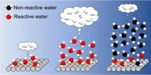 Positive and negative impacts of interfacial hydrogen bonds on photocatalytic hydrogen evolution 2