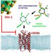 Potential drug molecule shows enhanced anti-HIV activity