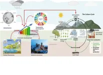 Powering the future of South Asia: The economic math behind carbon neutrality