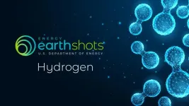 PPPL awarded $5 million to lead an Energy Earthshot Research Center focused on clean hydrogen