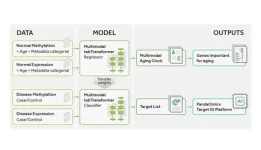 Precious1GPT: multimodal transfer learning for aging clock development and target discovery