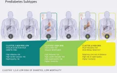 Prediabetes subtypes identified